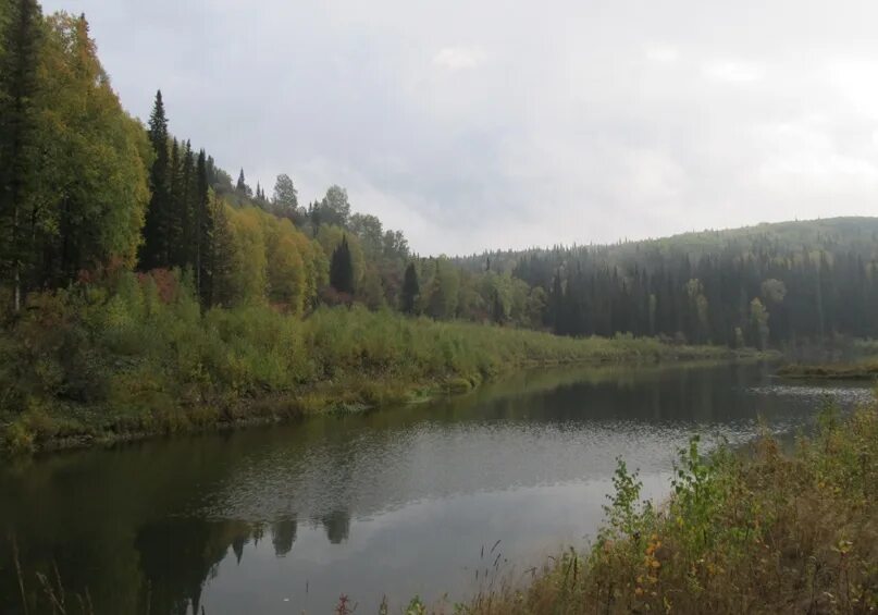 Шарап видео. Салаирский Кряж Улантова гора. Уланова гора Новосибирская область. Шарап НГТУ Новосибирская область. Улантова гора Тогучинский район.