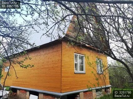 Снт оптимист высокая