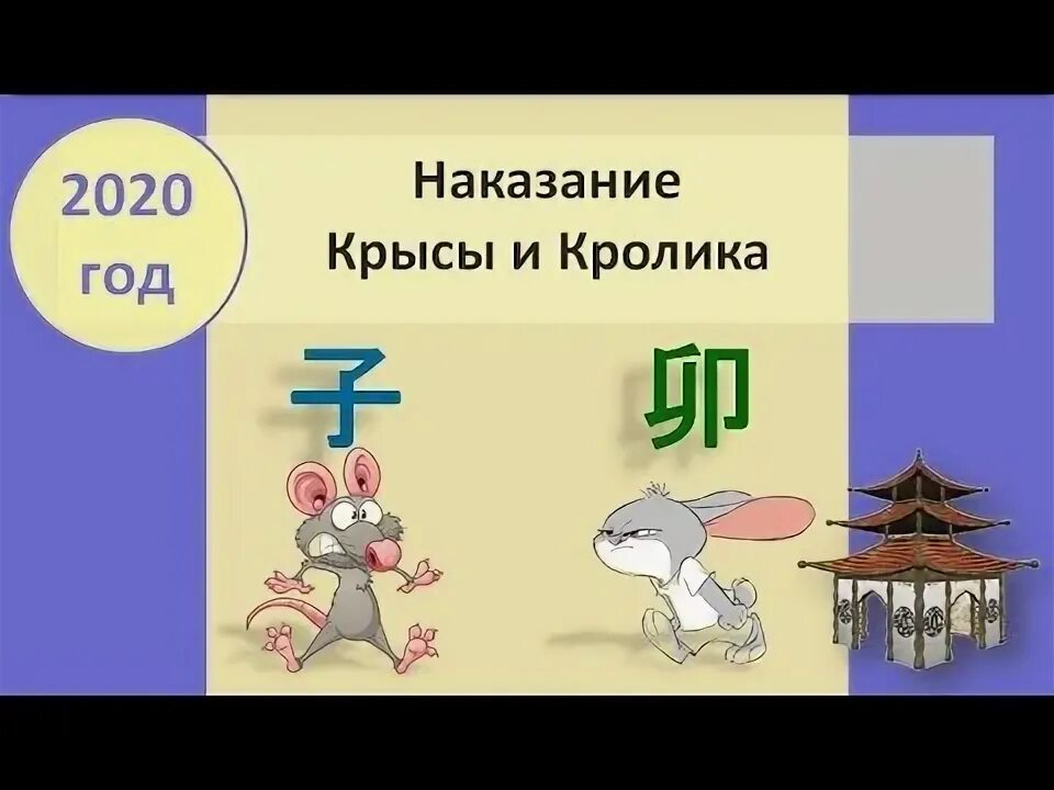 Символ крысы. Год кролика для крысы. Год крысы и кролика. From rat to rabbit. Год мыши.