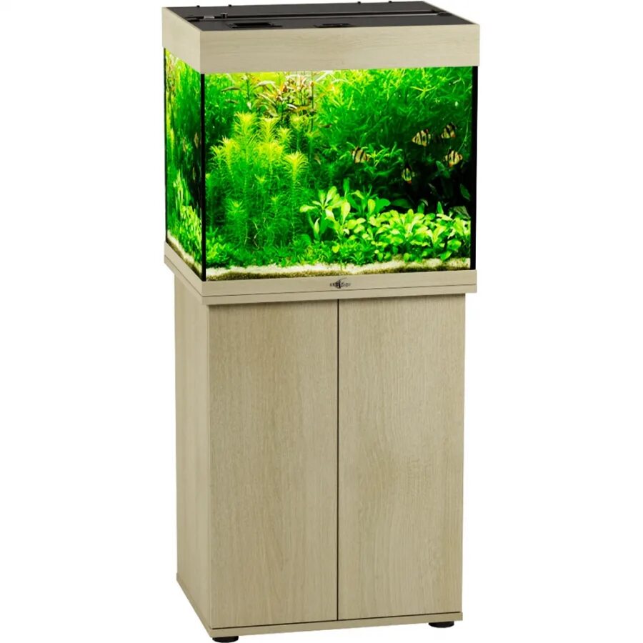 Аквариум 100л размеры. Аквариум 100л размеры. Аквариум 100 л размер. Аквариум 100 л размер. Аквариум биодизайн риф.