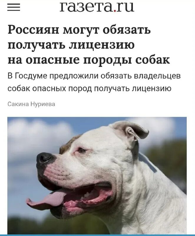 Список опасных пород собак 2023. Список опасных пород собак в россии 2021 официальный. Перечень опасных пород собак. Перечень опасных пород собак утвержденный правительством рф. Список опасных собак.