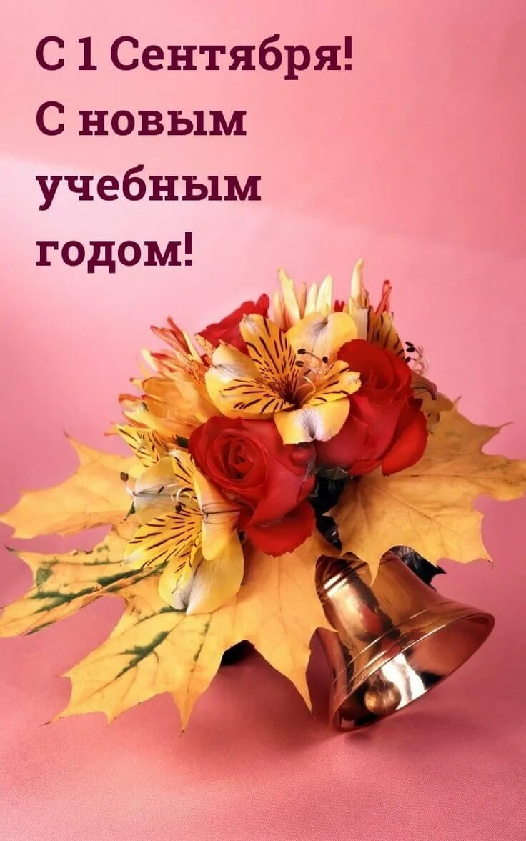 С 1 сентября молодежь. 1 сентября день знаний. поздравление с 1 сентября. сентябрь картинки. открытка &quot;с днём знаний&quot;.