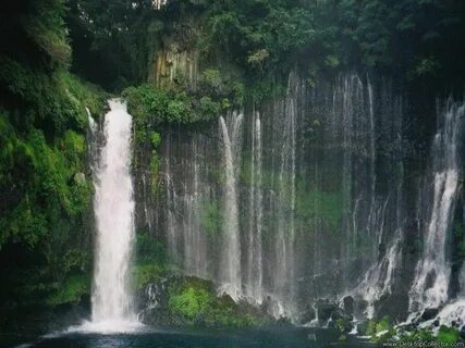 Beautiful and wild