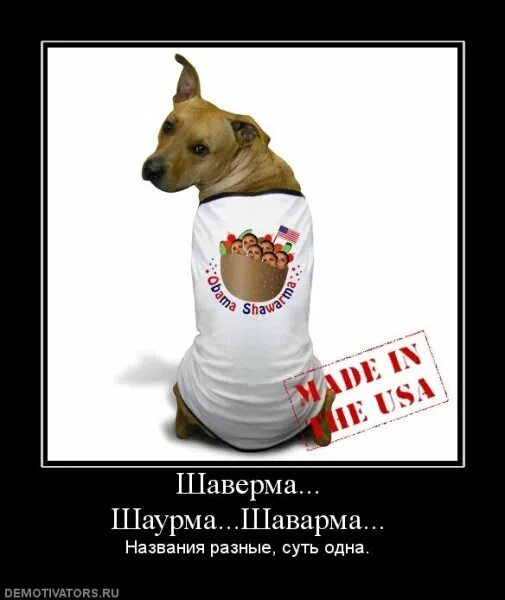 Ответы Mail.ru: Вам нравится шаурма? Там в ней свежая собачатина или дохлых подб