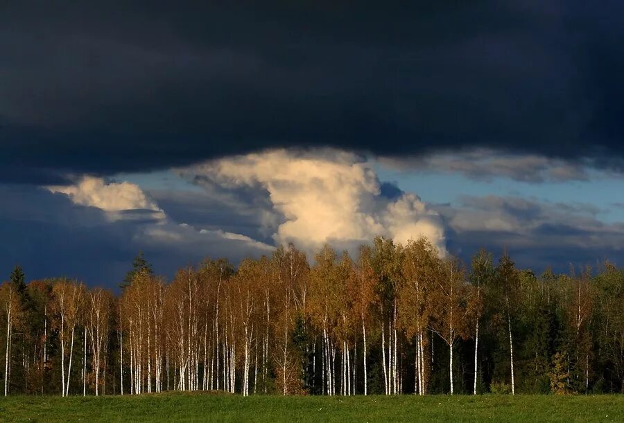 Гром в сентябре предвещает теплую осень. Осенняя гроза. гроза осенью. осень гроза. молния осенью.