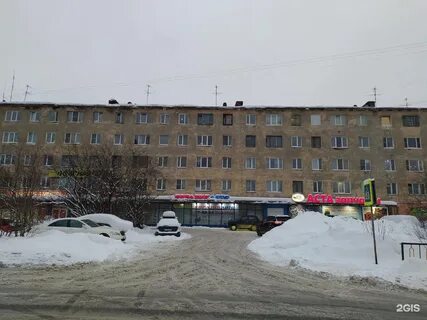 Буркова мурманск