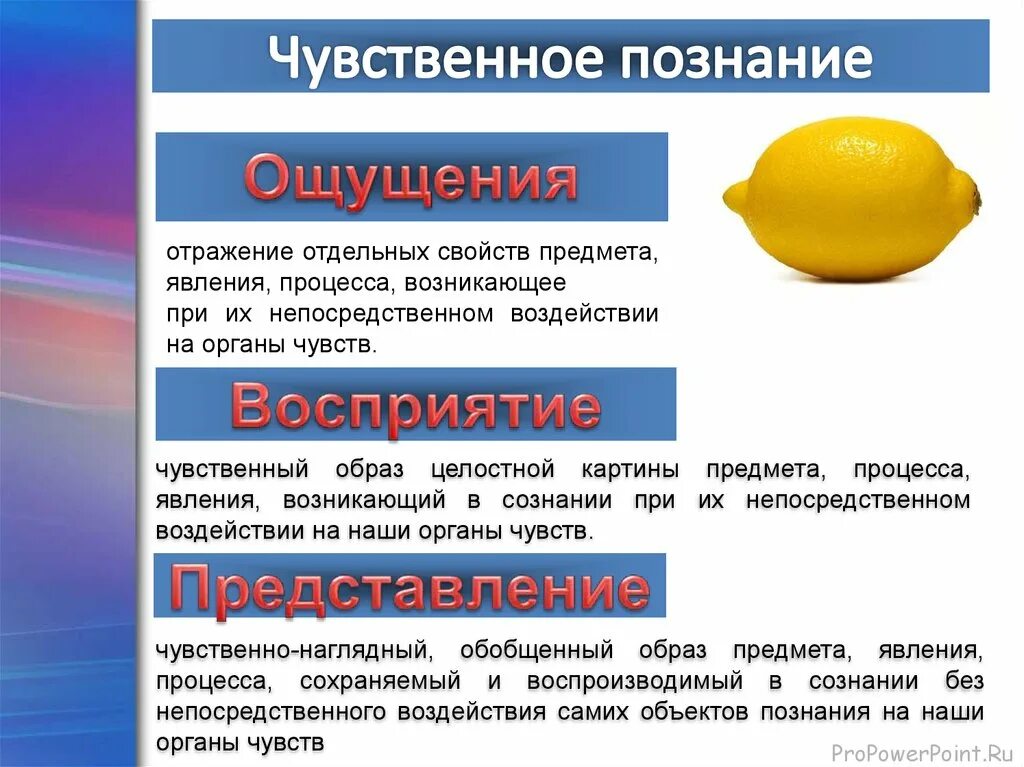 Чувственное познание предметов. Отражение отдельных свойств предметов и явлений. Ощущение отражение отдельных свойств предметов и явлений. Это отражение отдельных свойств предметов, явлений, процессов что это. Познание свойств предметов и явлений.