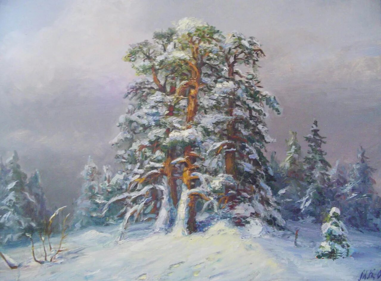 Картины художников ели. Герасимов андрей. «зимний лес. просека».. герасимов зимний лес просека. владимир казанцев картины сосны. шишкин сосна зима.