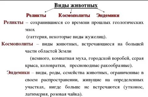 Какие виды называют реликтами