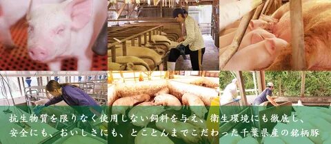 林 SPF の 身 体 へ の メ リ ッ ト 