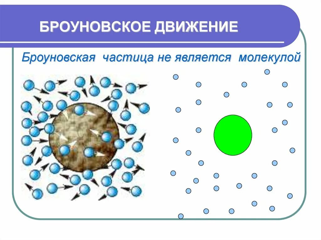 Броуновское движение частиц происходит. Статистическая теория броуновского движения. Броуновское движение. Броуновское движение движение частиц. Броуновское движение физика.