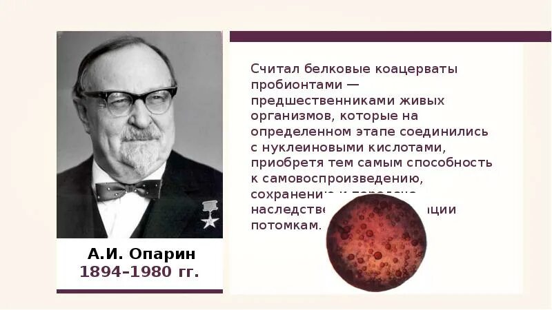 Коацерваты живые организмы. Предшественники живых организмов. Первые предшественники организмов. Коацерватная гипотеза. Предшественники живых организмов были коацерваты.