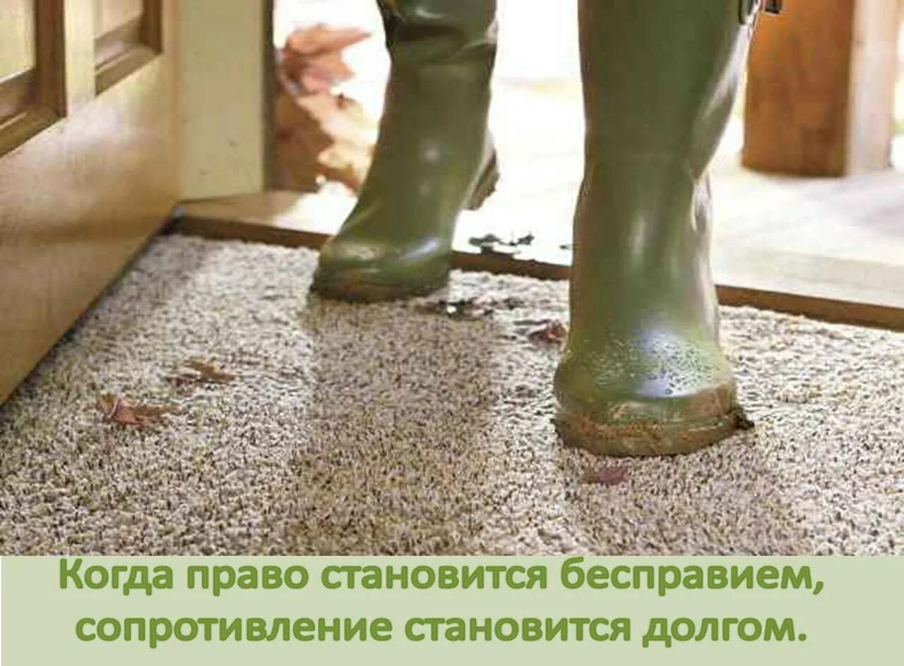 Мыть грязную обувь. Грязная обувь в прихожей. грязные ботинки. грщнаяобувь. человек в грязной обуви.