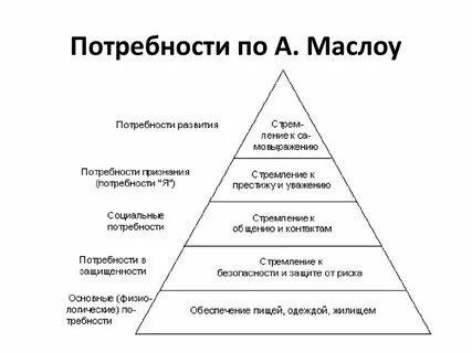 Воспитание системы потребностей