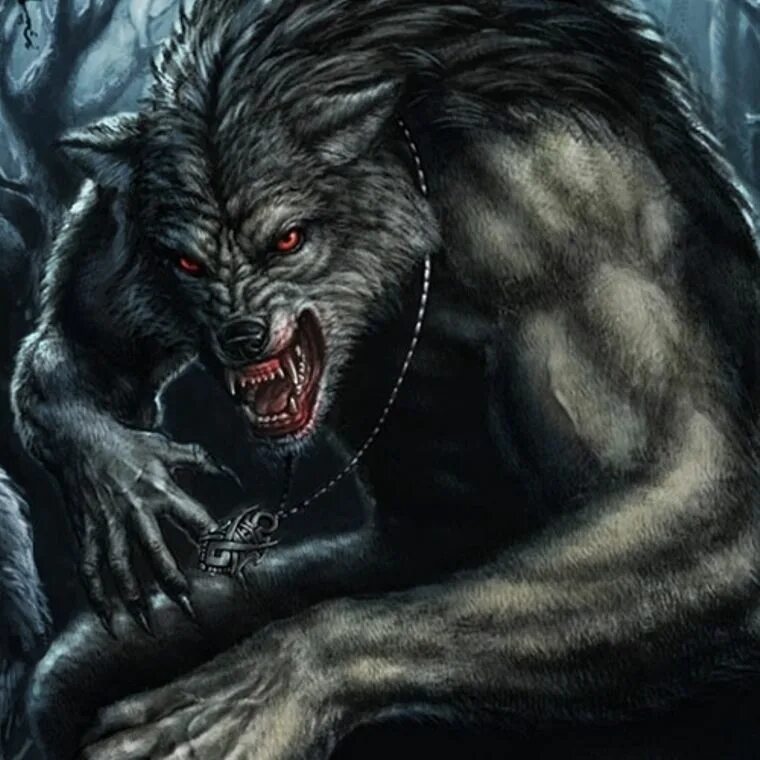 Вервольф волк оборотень. Волки оборотни мифология. «оборотень - a werewolf boy» ариме. Волки оборотни мифология. Волколак славянская мифология.
