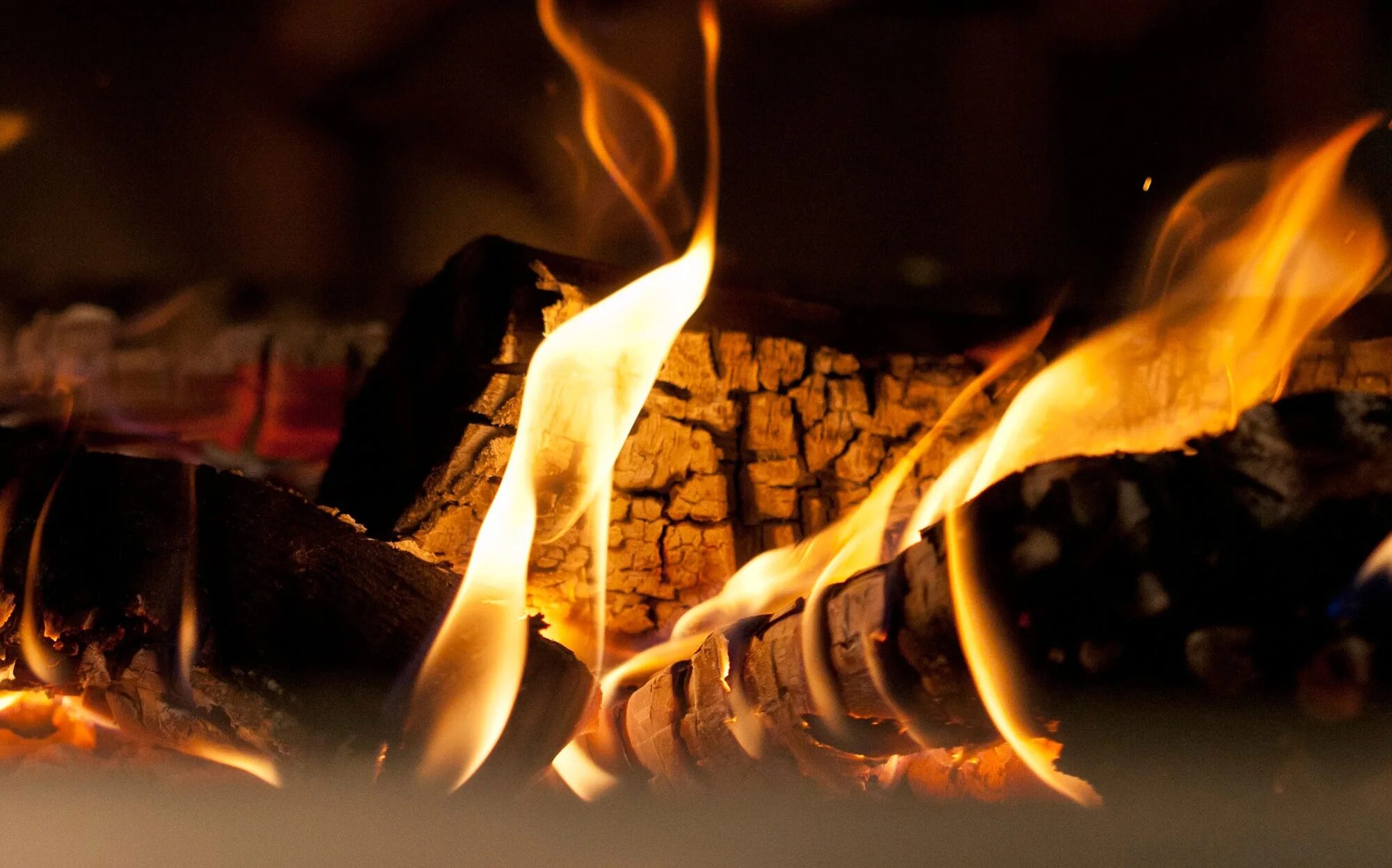 Огонь 16:9. Уголь для мангала. Читать горящие огни. Читать горящие огни. Читать горящие огни.