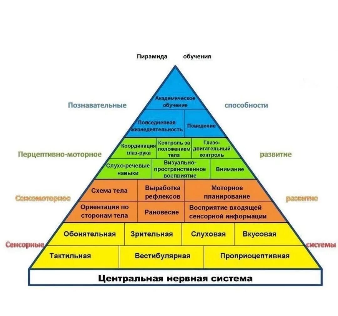 Мыслительные способности человека развиваются в процессе обучения. Пирамида развития ребенка Вильямс и Шелленбергер. Пирамида Вильямса и Шелленбергера. Пирамида Вильямса Шелленберга по возрастам. Пирамида обучения Шелленберга.