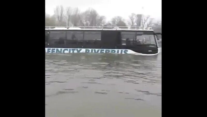 В окне автобуса поплыл. Плавающий автобус в Москве. Автобусы плывут в луже. Автобус дождь. Плавучий автобус Будапешт.