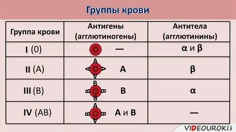 Как пишется резус фактор 1 положительный