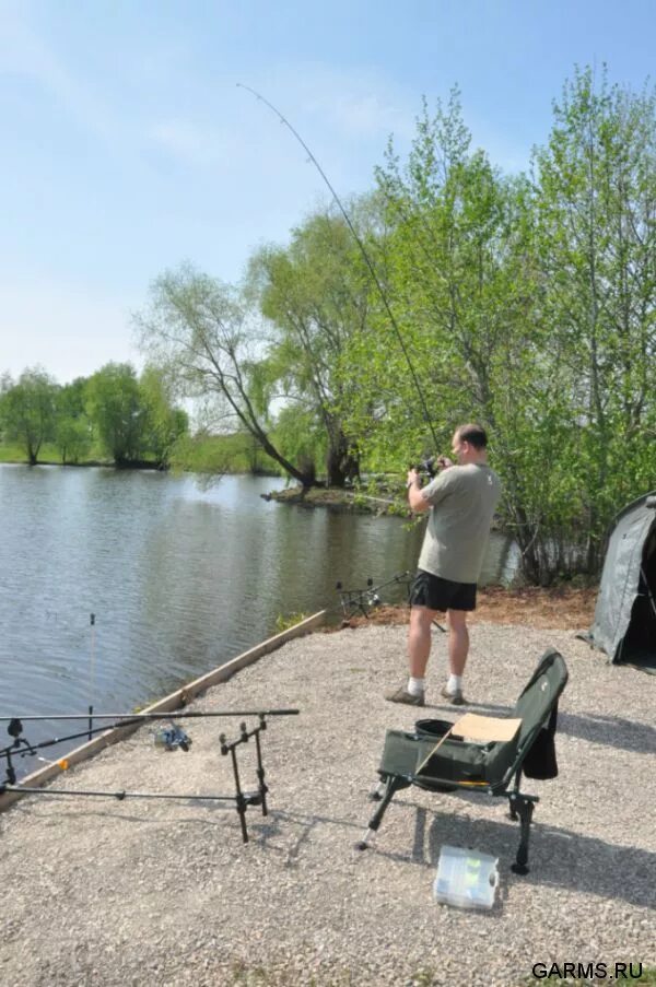 Платный карповый пруд. Озеро карпов пруд челябинск. Карповый пруд. Головной пруд. Рыболовный карповый пруд высокополье.