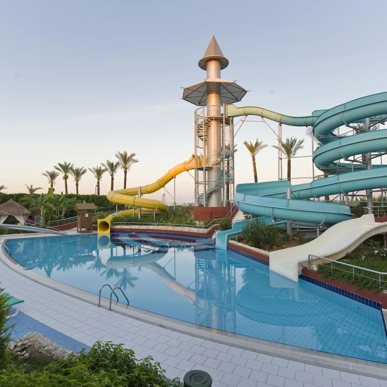 Delphin diva 5