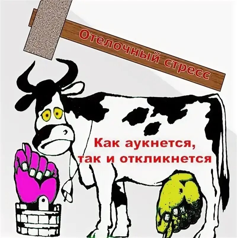 Рассказ как аукнется так и откликнется. Как аукниться так и окликнешься. как окунаться так и откликнется. как аукнется так и откликнется. поговорка как аукнется так и откликнется.