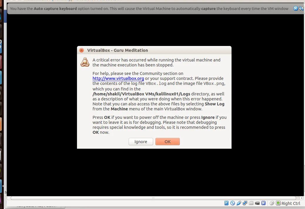 Критическая ошибка virtualbox. Guru meditation virtualbox. guru meditation windows 10 virtualbox. virtualbox guru meditation error. guru meditation error.