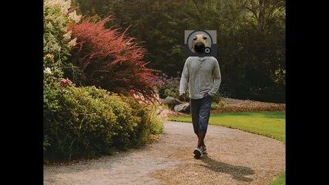 Nick go for a walk