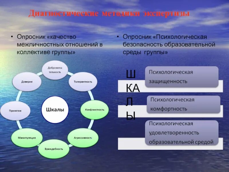 Экспертиза психологической безопасности среды. Модель психологически безопасной образовательной среды. Психологическая безопасность образовательной среды. Диагностические методы в образовании.