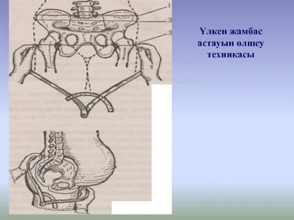 Порно фильм графиня Макбет