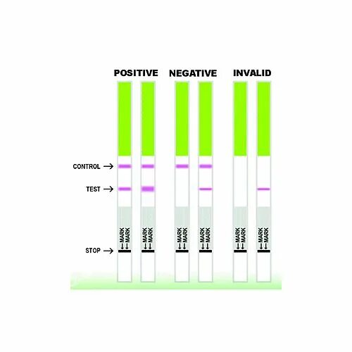 Тест полоски для электронного теста на овуляцию. Тест полоски на овуляции расшифровка. Тест полоски овуляции как показывает на овуляцию. Контрольное и тестовое полосы на тесте овуляции.