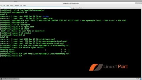 Nginx error