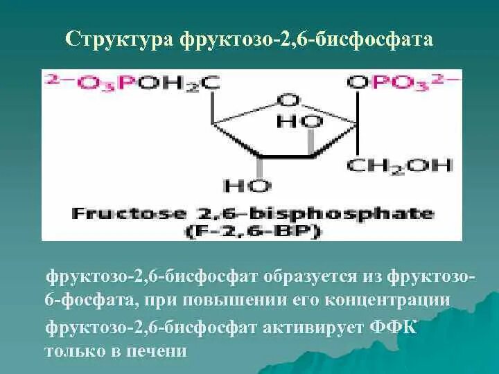Фруктозо 2 6 дифосфат. Фруктоза 2 6 дифосфат. Фруктозо 26 бисфосфат. Фруктозо 2 6 дифосфат активирует фермент.