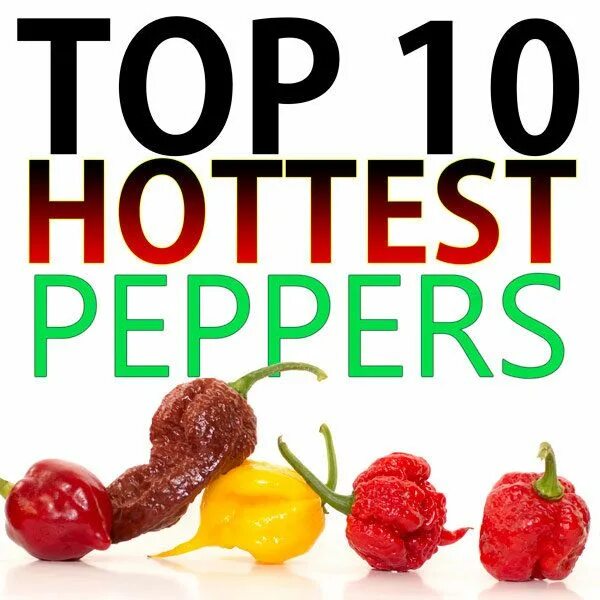 World pepper. Chili Peppers рецепты. Хот Пеппер. Hot Pepper надписи. Extreme Streets hot Pepper.