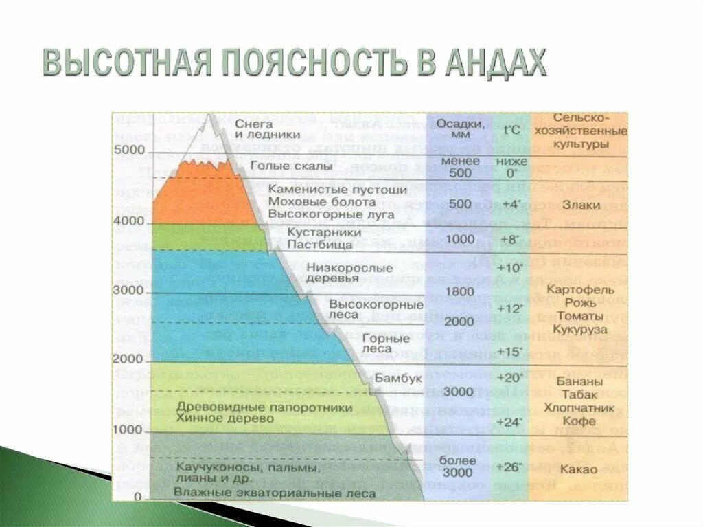 Высотная поясность это смена природных зон