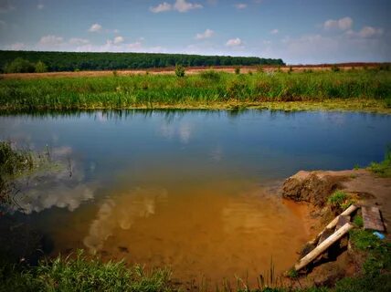 Погода в костино отдельце