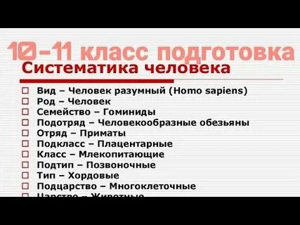 Систематика человека признаки