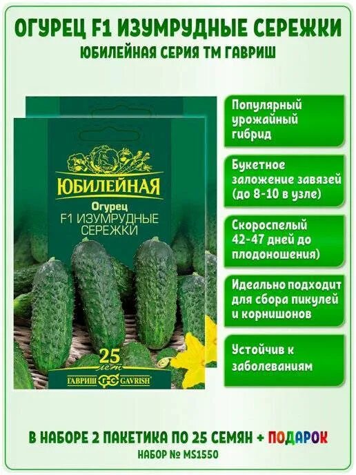 Огурцы сорт изумрудные сережки отзывы. Огурец изумрудные сережки семена. огурец изумрудные сережки гавриш. сорт огурцов изумрудные сережки. семена огурцов изумрудные сережки описание.