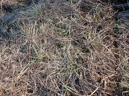 Ground found