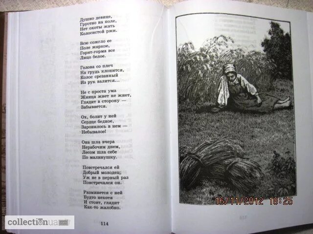 О горькой доле. Кольцов Дума Сокола. Стих Дума Сокола Кольцов. Кольцов стихотворения.