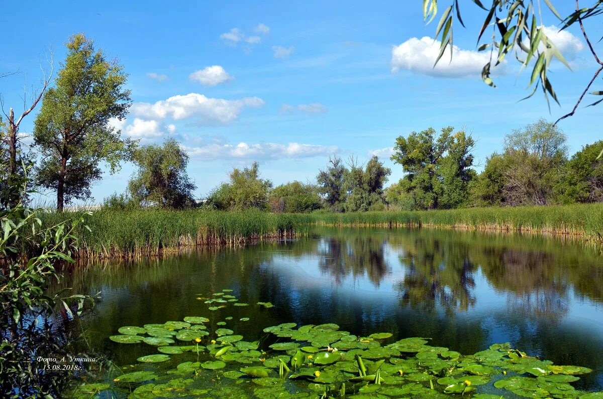 красник озеро. озеро в августе. рыбалка на озере. август озер. август озер.