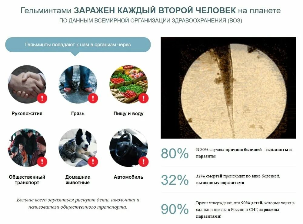 Почему подверженность заражению паразитами наиболее высока. Статистика заражения гельминтами. статистика заражение паразитами человека. статистика глистов в россии. статистика людей зараженных паразитами в россии.
