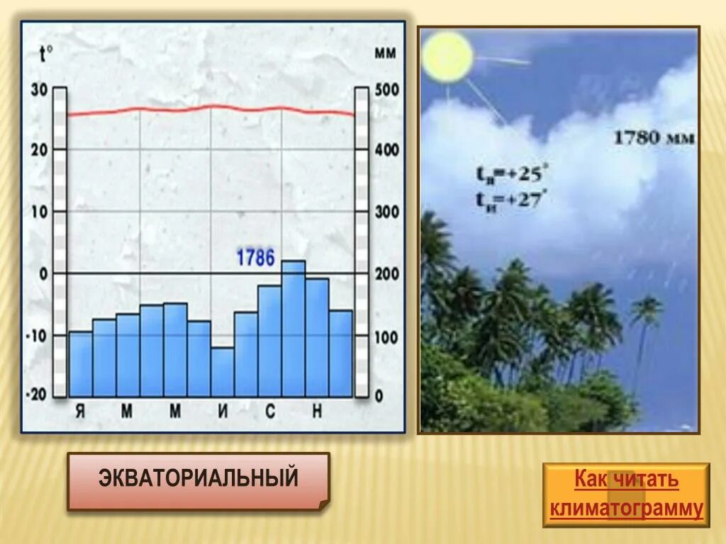 Равномерный климат. Климатическая диаграмма экваториального пояса. Климатограммы экваториального пояса Африки. Климатограмма экваториального климата Африки. Климатограммы климатических поясов Африки.