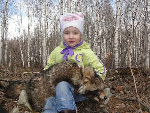 Берлога комсомольск. Медвежья Берлога Комсомольск. База отдыха медвежья Берлога Воронеж. Медвежья Берлога Хурба. Мишкина Берлога Комсомольск-на-Амуре.