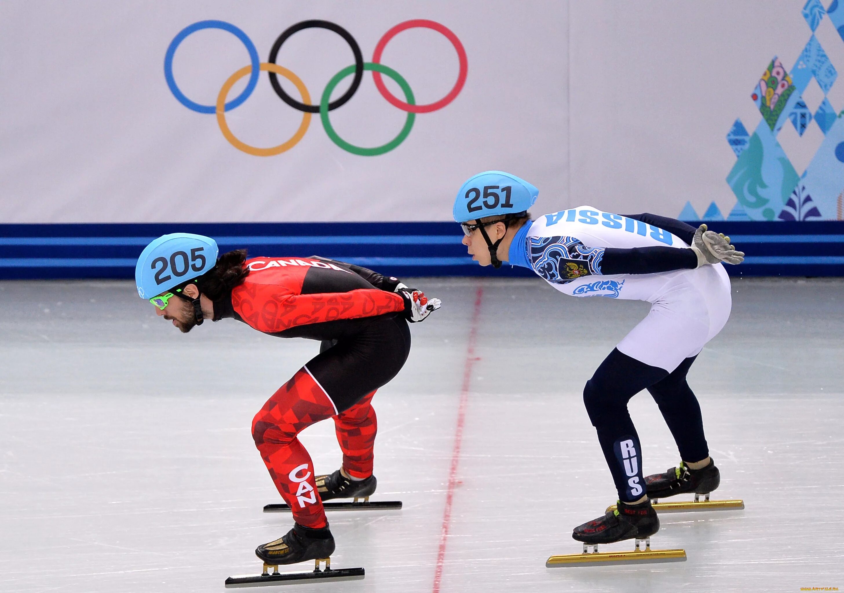 Шорт трек Сочи 2014. Олимпийские игры в Сочи 2014 конькобежный спорт.
