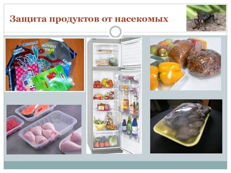 Как можно защитить продукты от бактерий. Защита продуктов. Защита еды. Защита питания. Защищать продукты от насекомых.