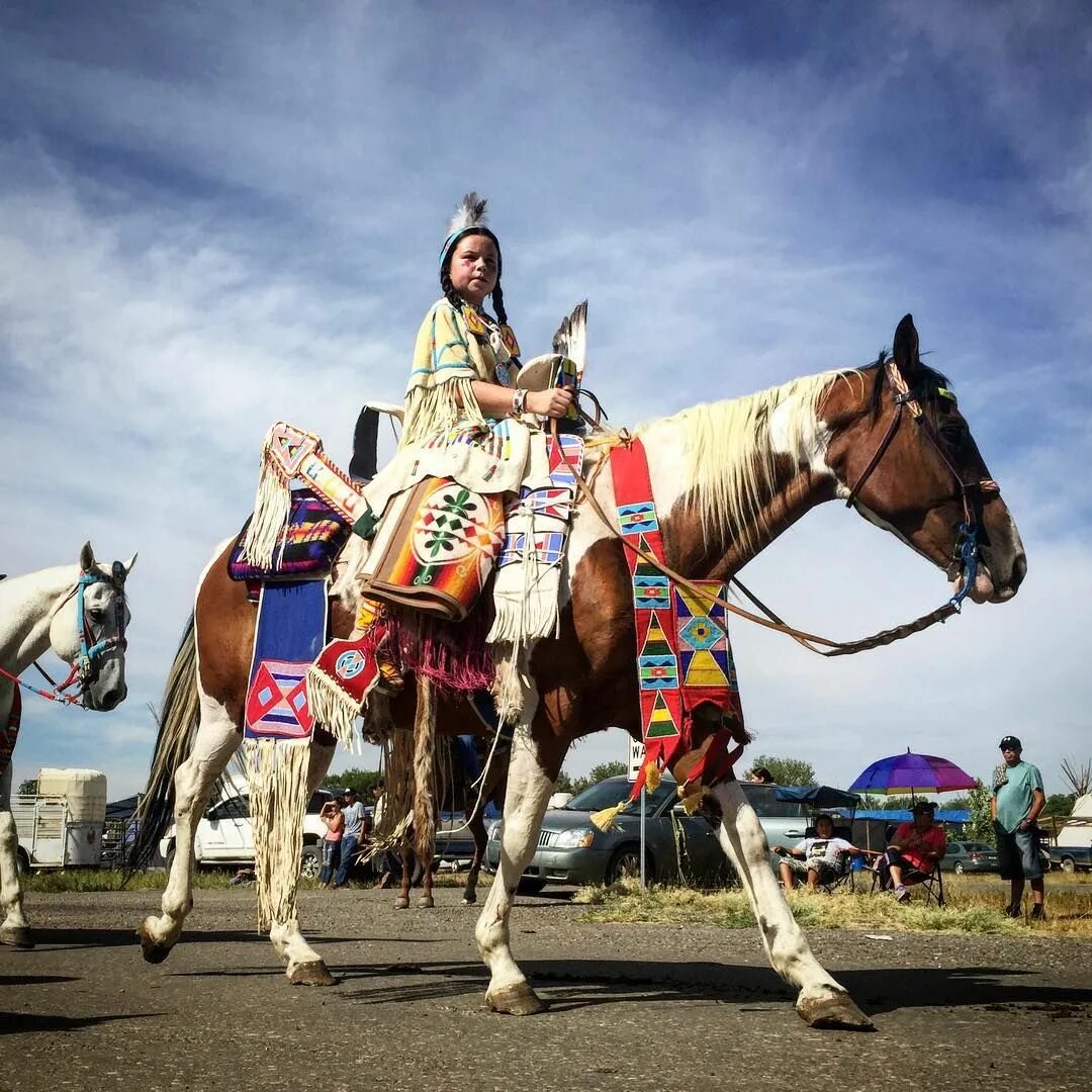 Indian horse. Индеец на лошади. Индейский пони. Индейцы на конях. Индеец на пятнистой лошади.