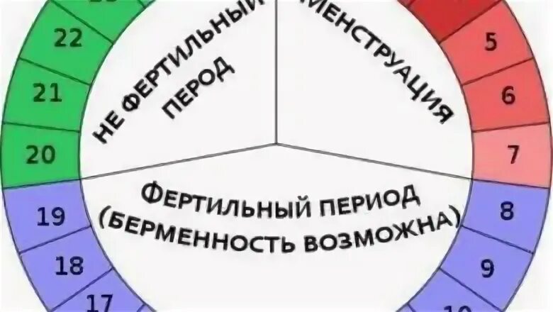 Фертильные дни. Физиологический метод контрацепции. Естественные методы контрацептивов. Физиологический (ритмический) метод контрацепции..