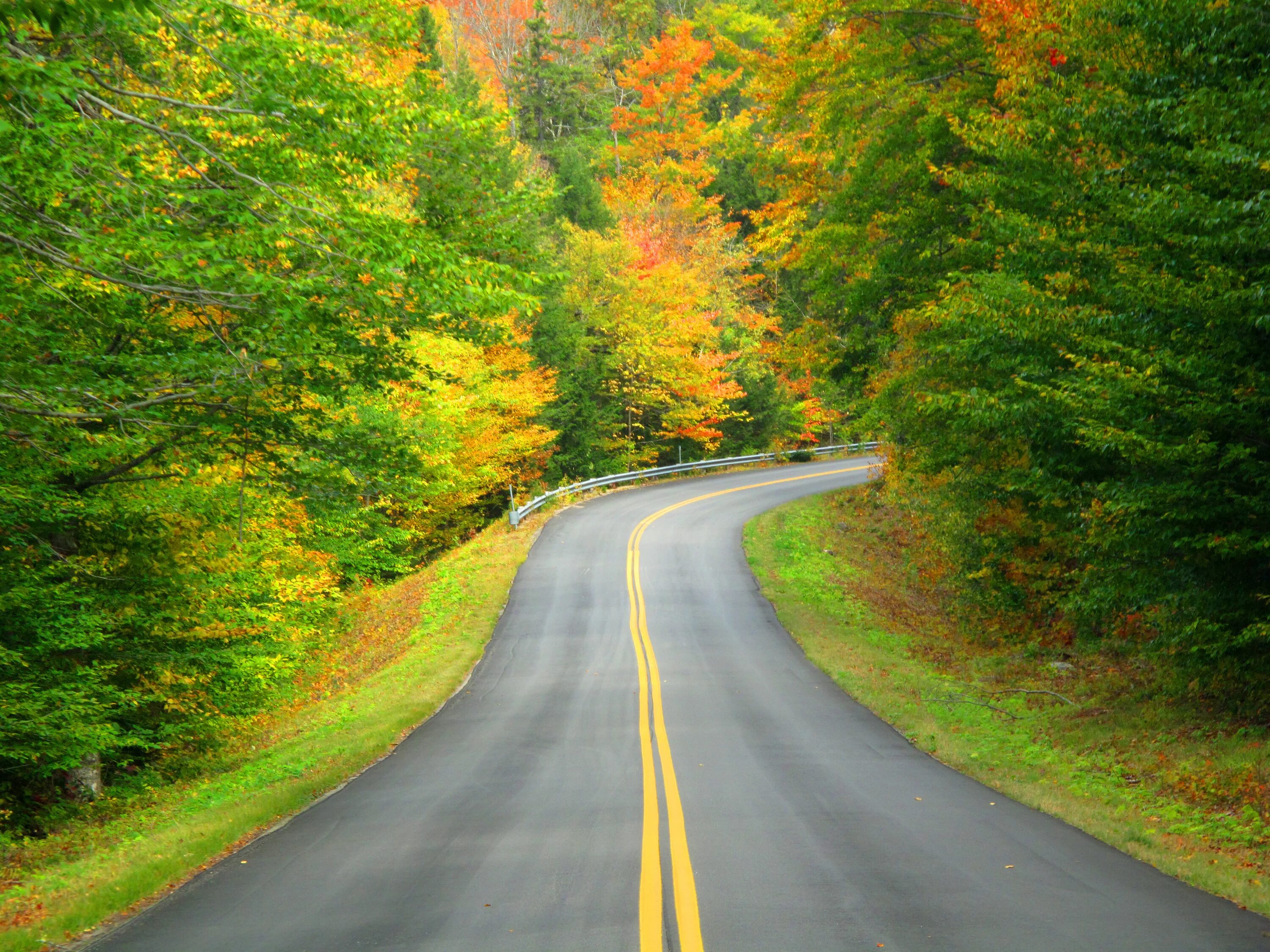красивая дорога. осенняя дорога. дорога к небу. яркой жизненной дороги. дороги.