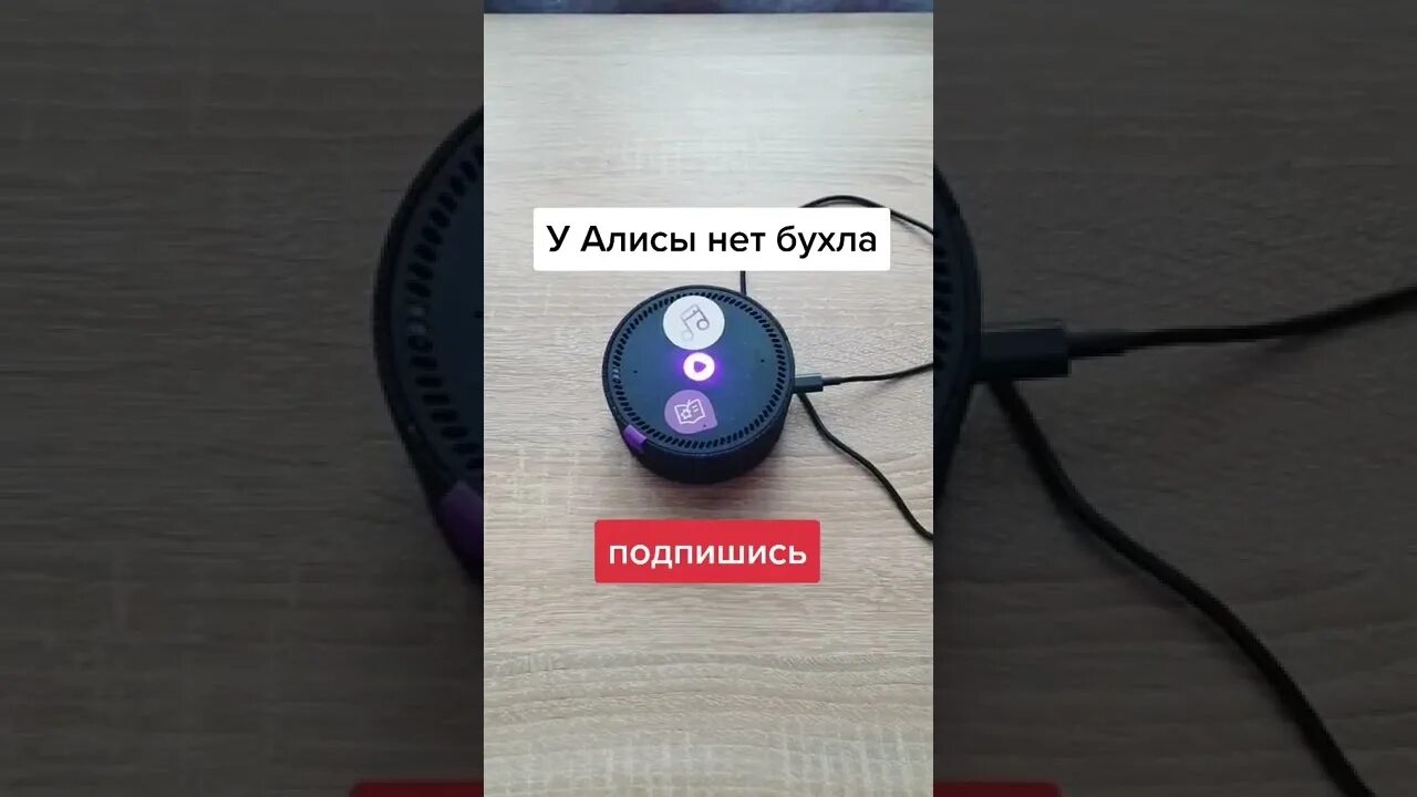 Давай умная алиса. Как сломать алису. алиса станция приколы.